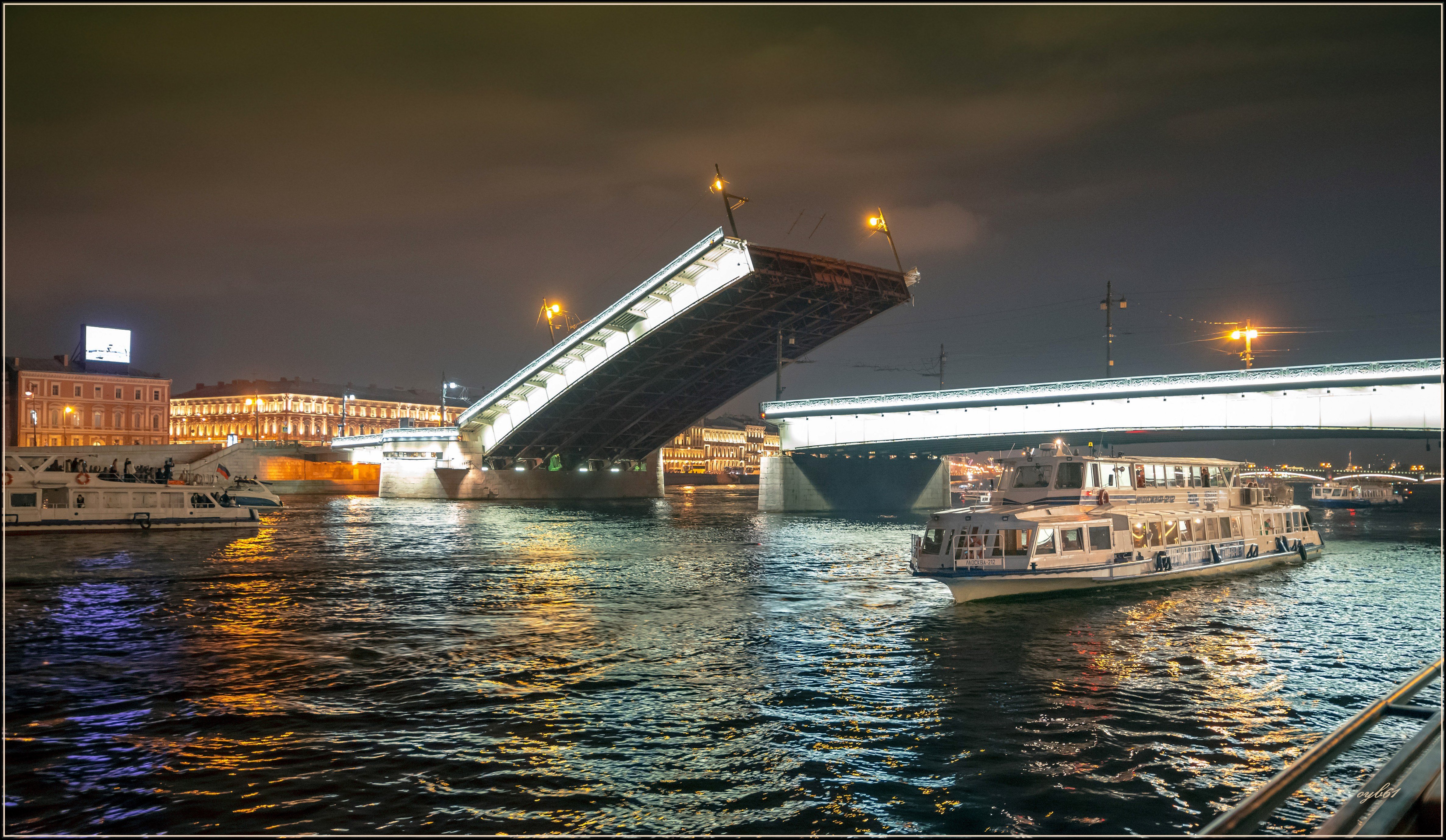 мост александра невского ночью