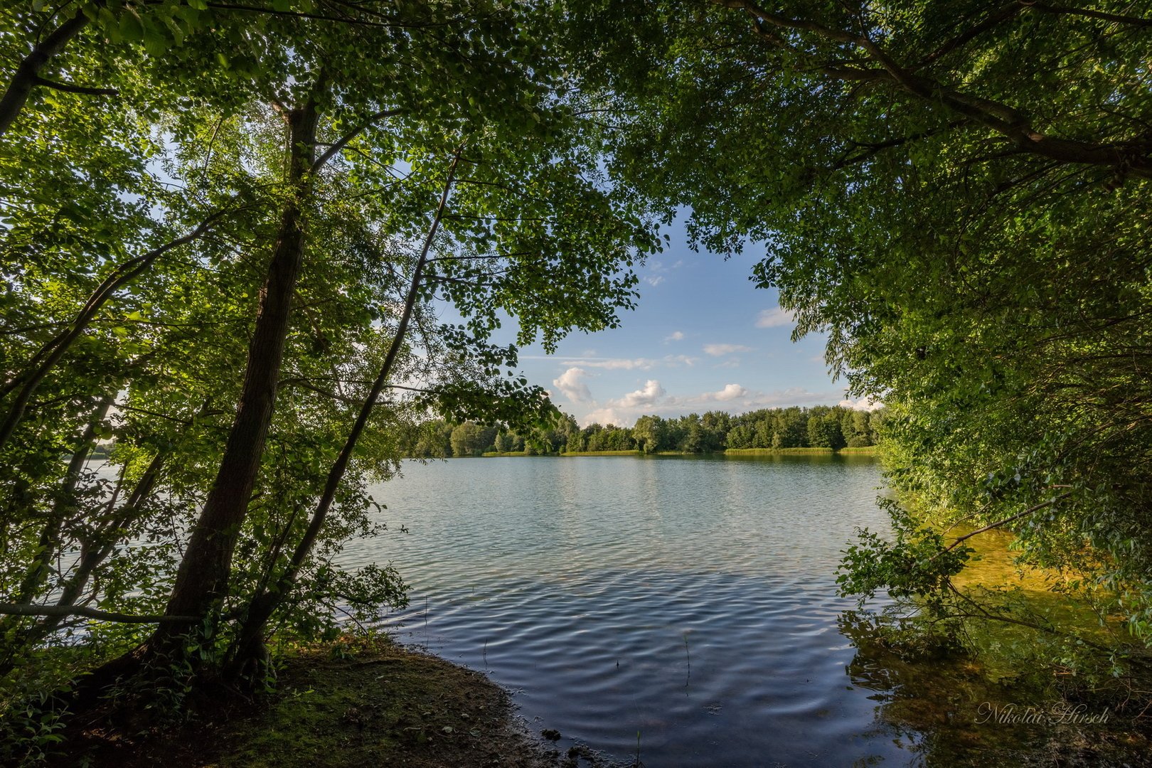 заводь на реке