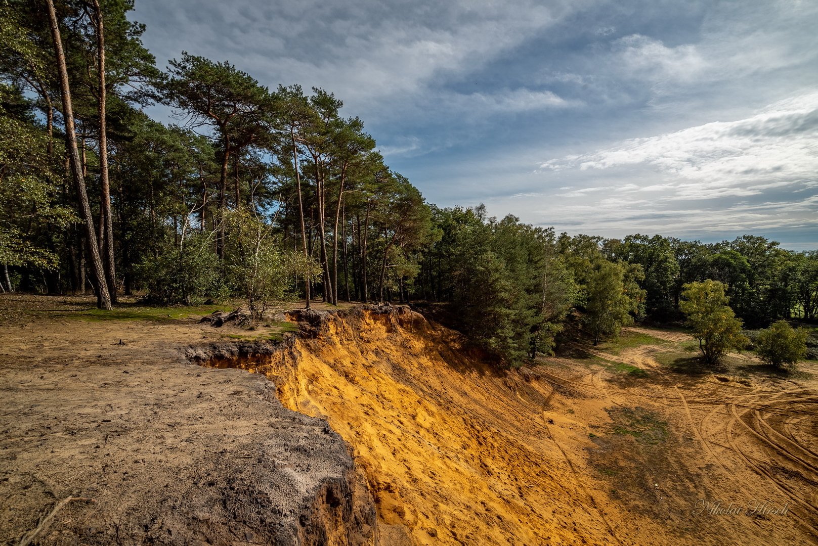 песчаные леса. вороний остров ленинградская область песчаный карьер. липово сосновый бор. песчаные леса. песчаные леса.