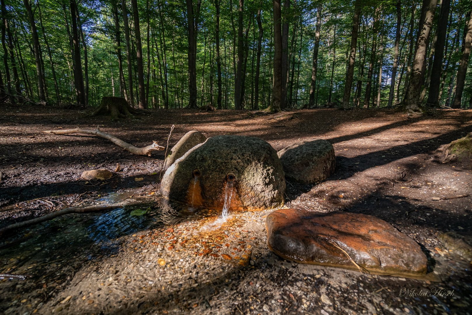 Камень в лесу у разлива