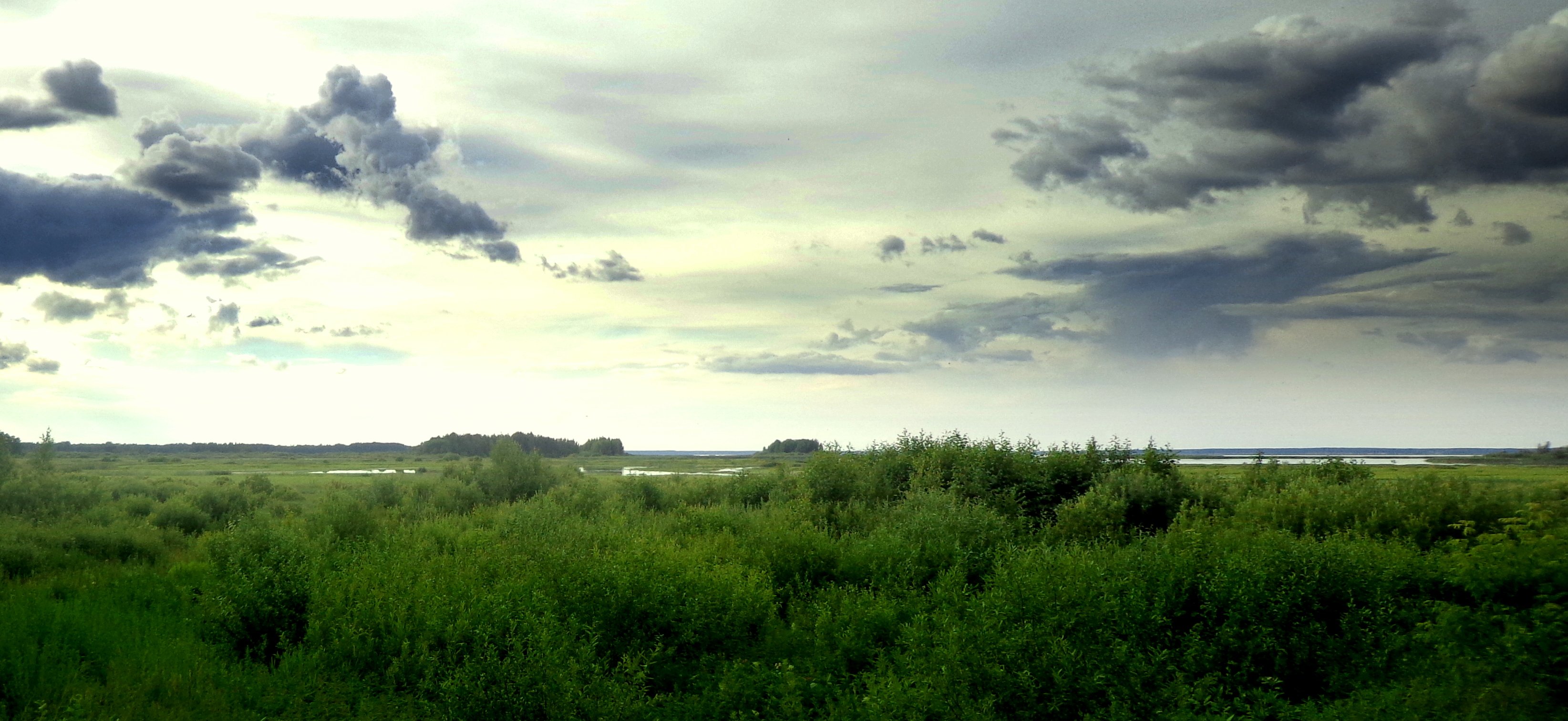 Совершенное небо 10. Весьегонск на Мологе. База волчица на Рыбинском водохранилище.