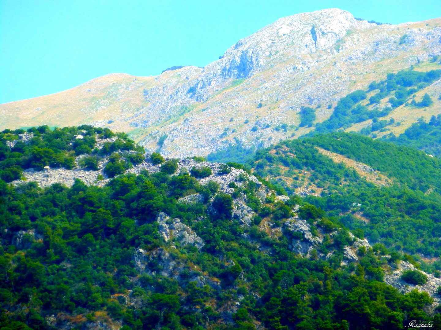 Какие горы в Черногории