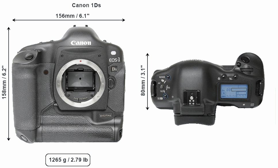 Canon года выпуска фотоаппаратов. Canon фотоаппараты по годам. Камеры Кэнон по годам. Первая камера Кэнон.