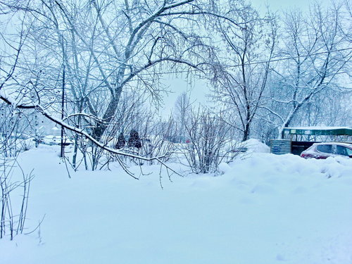 Зимние московские будни