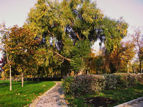 В осеннем парке