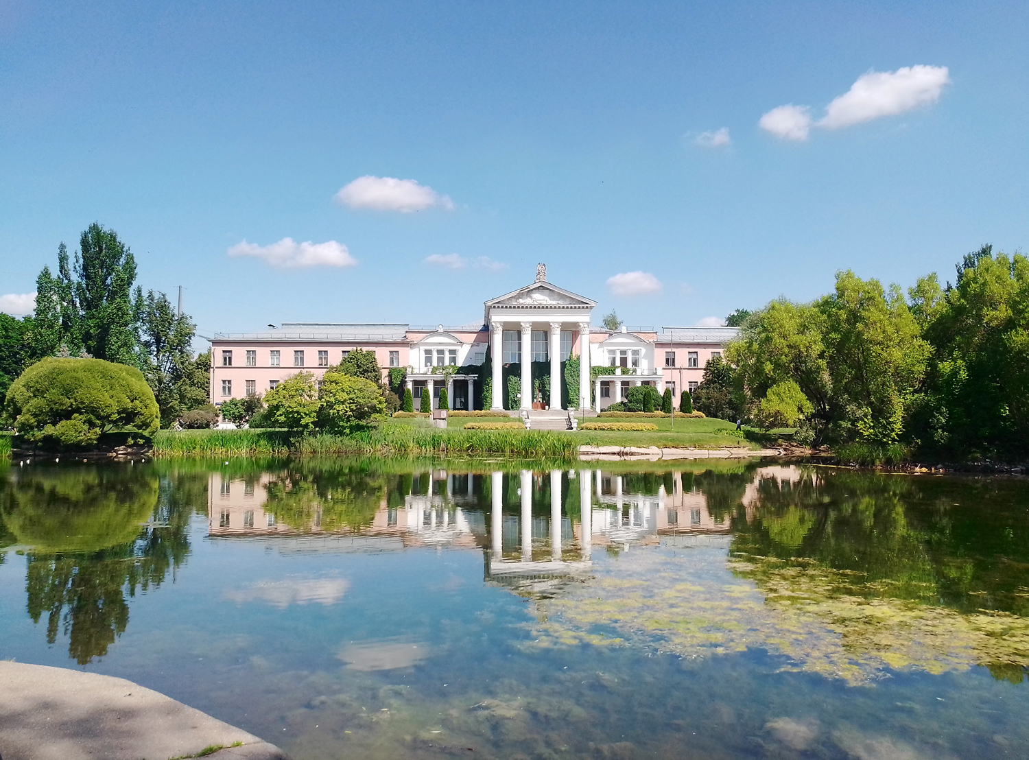 Ботанический сад ножной диска фото