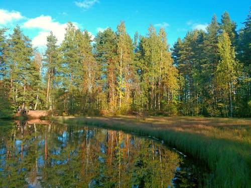 Краски осени