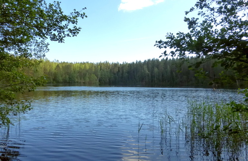 Дружинное озеро