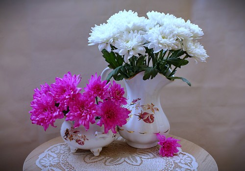 с хризантемами