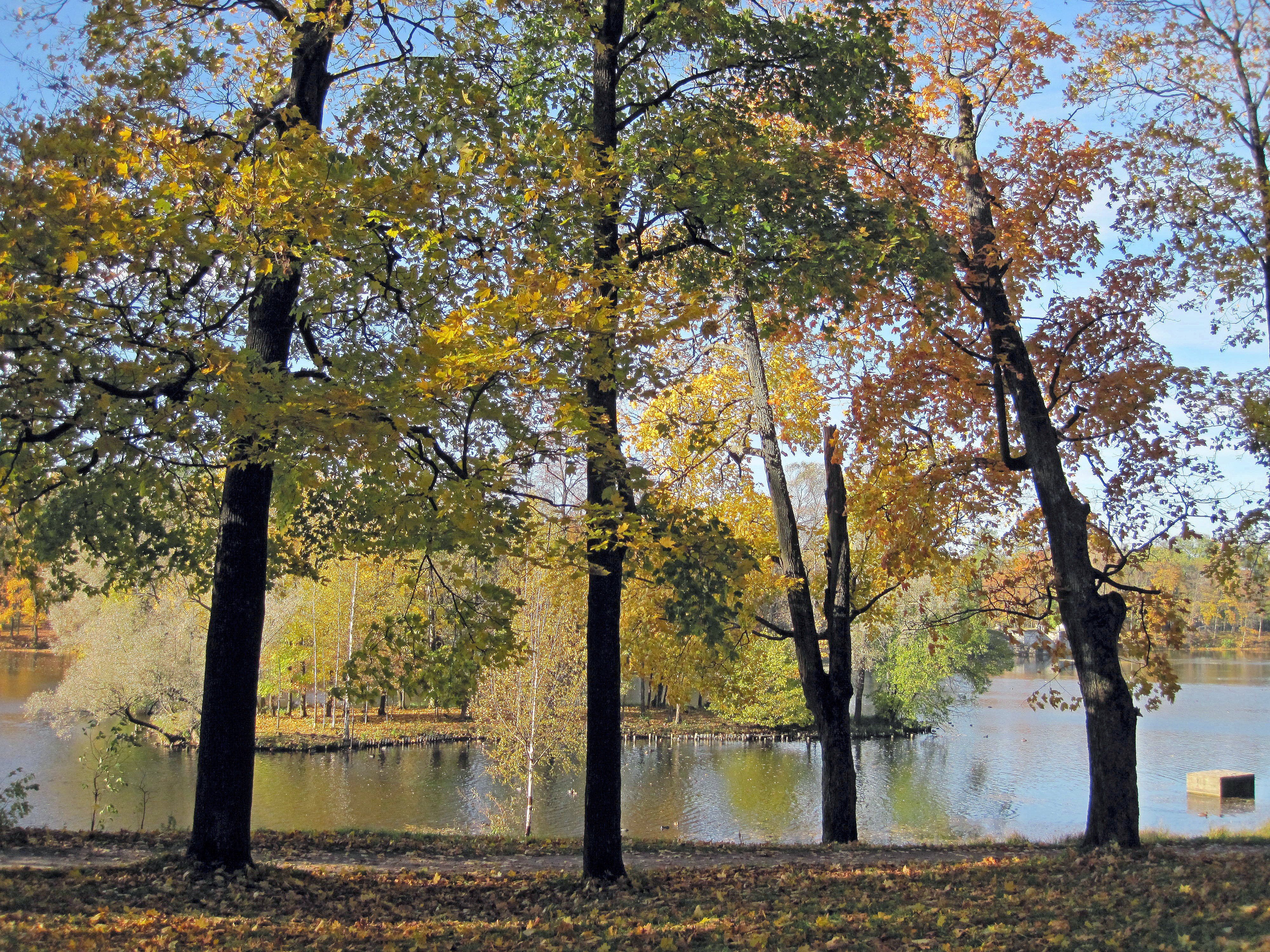 Дворцовый парк осенью осенью