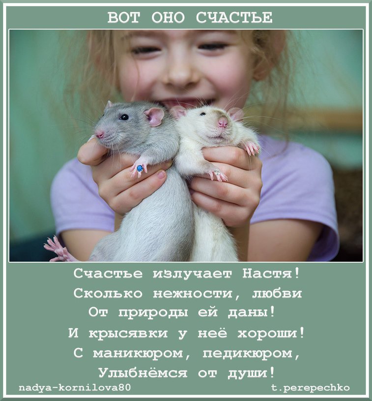 Так выглядит счастье картинки. Так вот она счастье. Счастье привалило картинки. Смешные обои. Так вот она счастье.