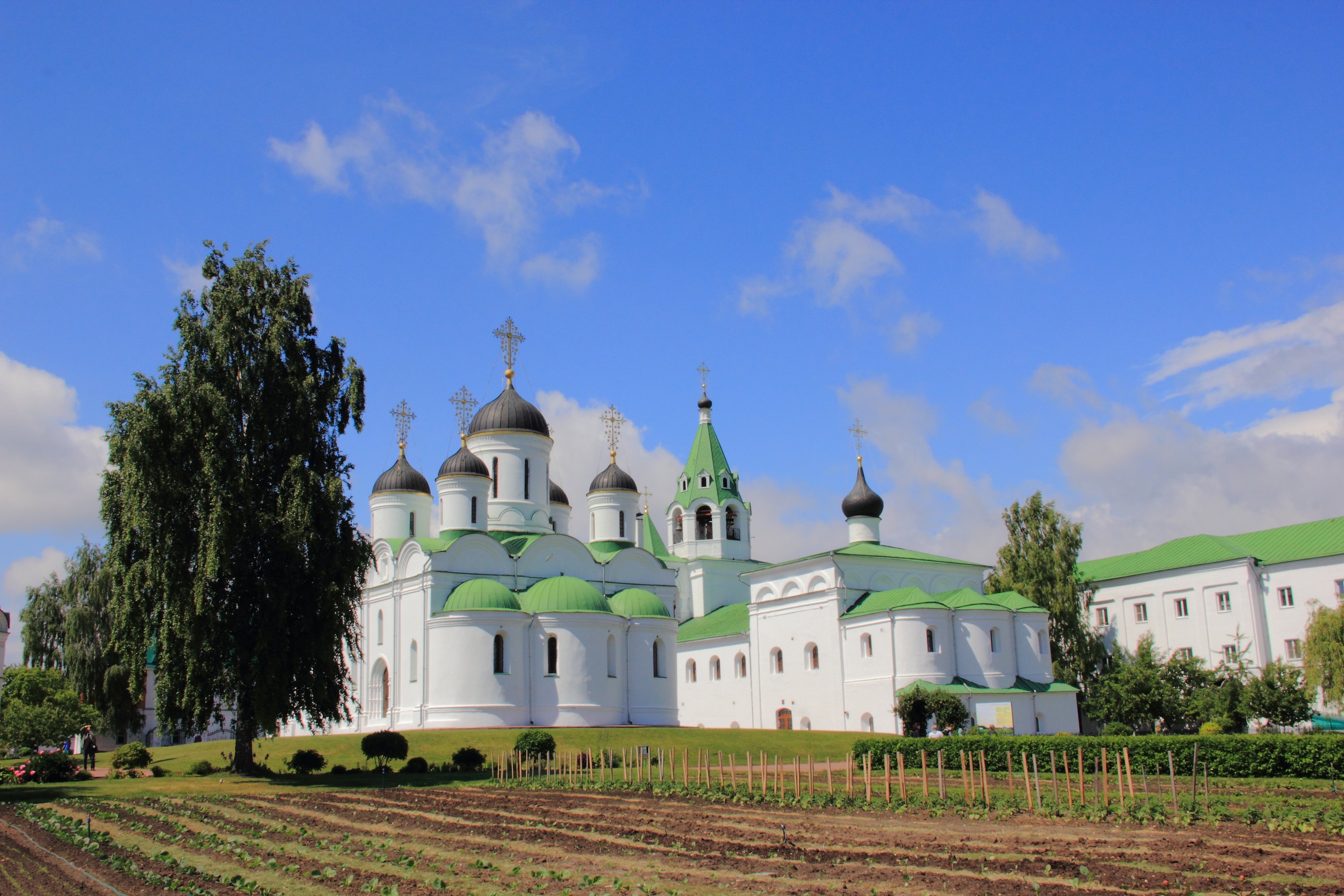 Муромский. Спасо Преображенский монастырь Муром зоопарк.