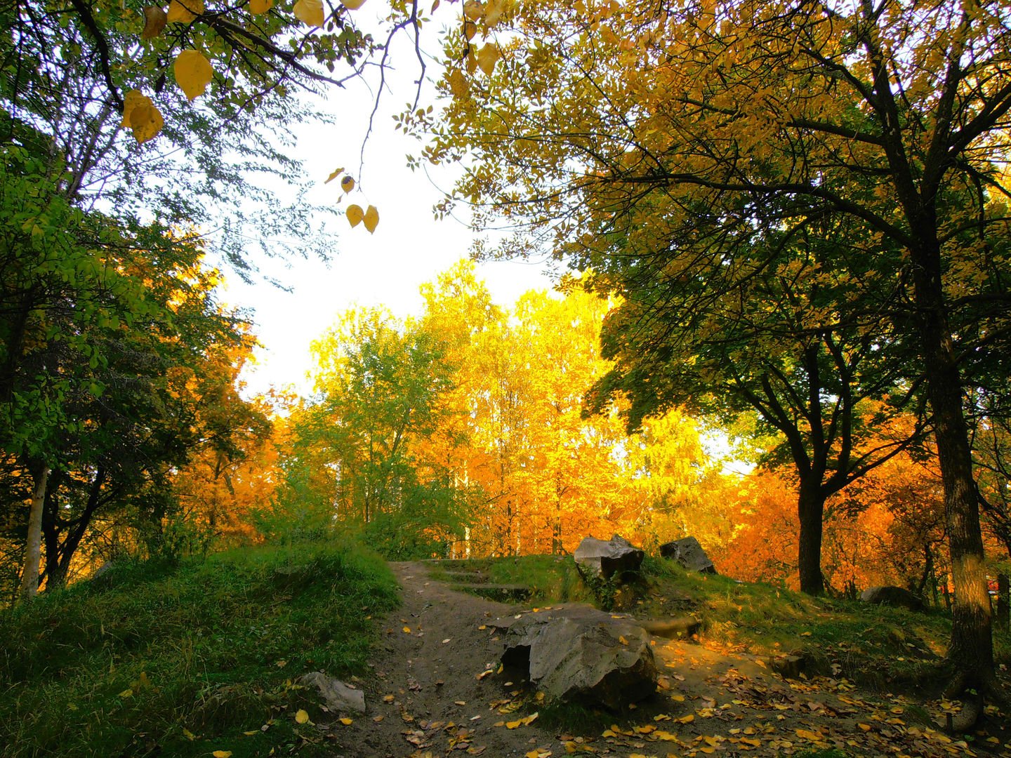Золотая осень в Ульяновске