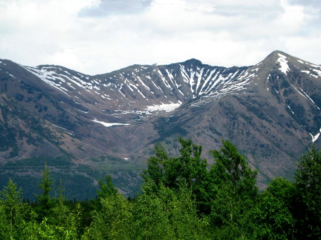 Бельцы бам фото