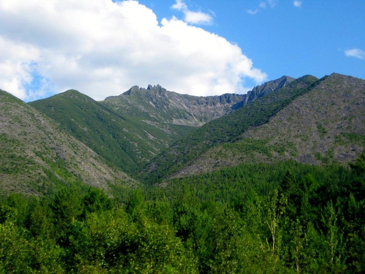 Становое нагорье фото