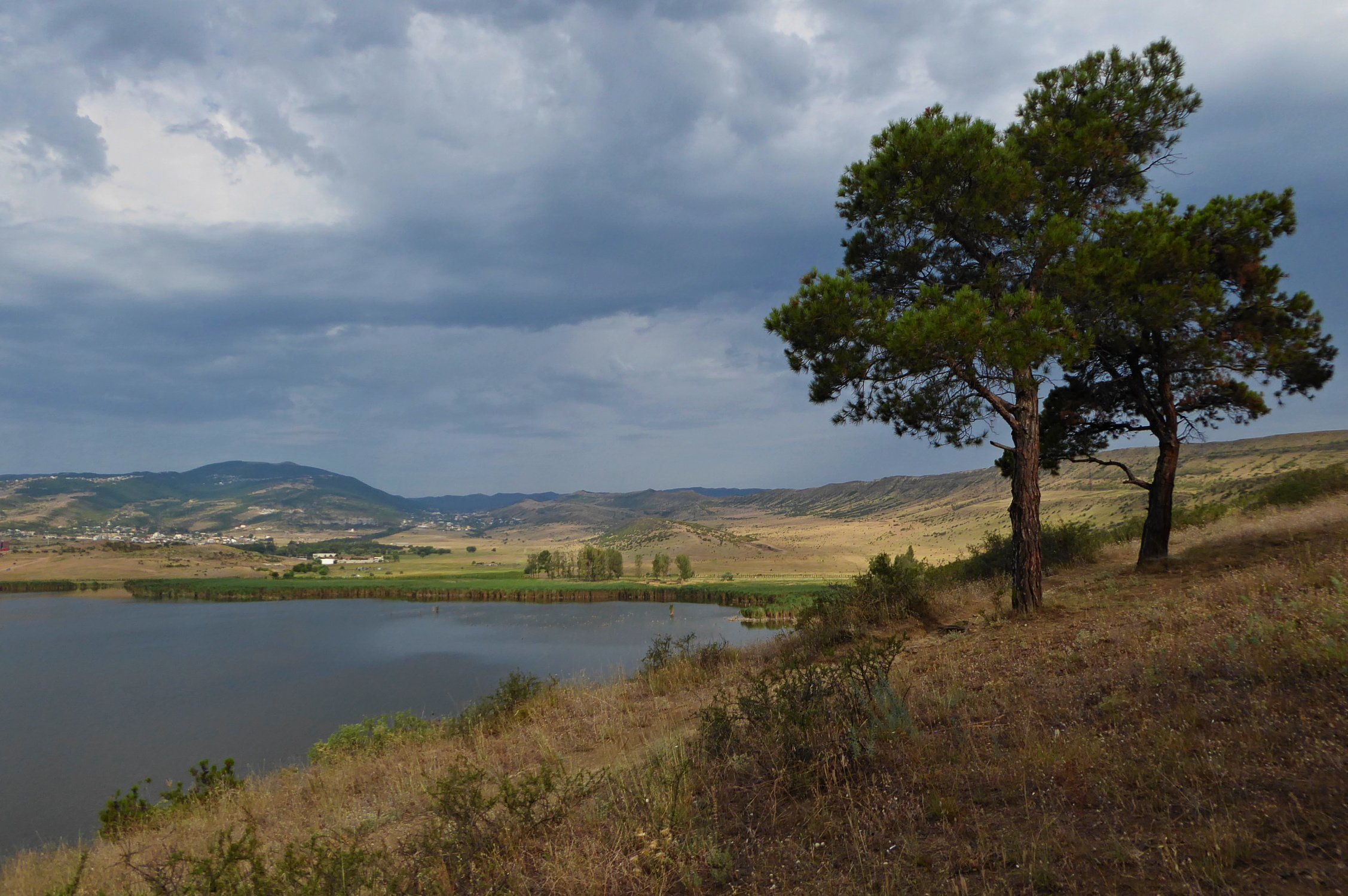 Лиси тбилиси. Lisi Lake Тбилиси. Лисье озеро Тбилиси. Озеро Лиси Тбилиси фото. Черепашье озеро Тбилиси.