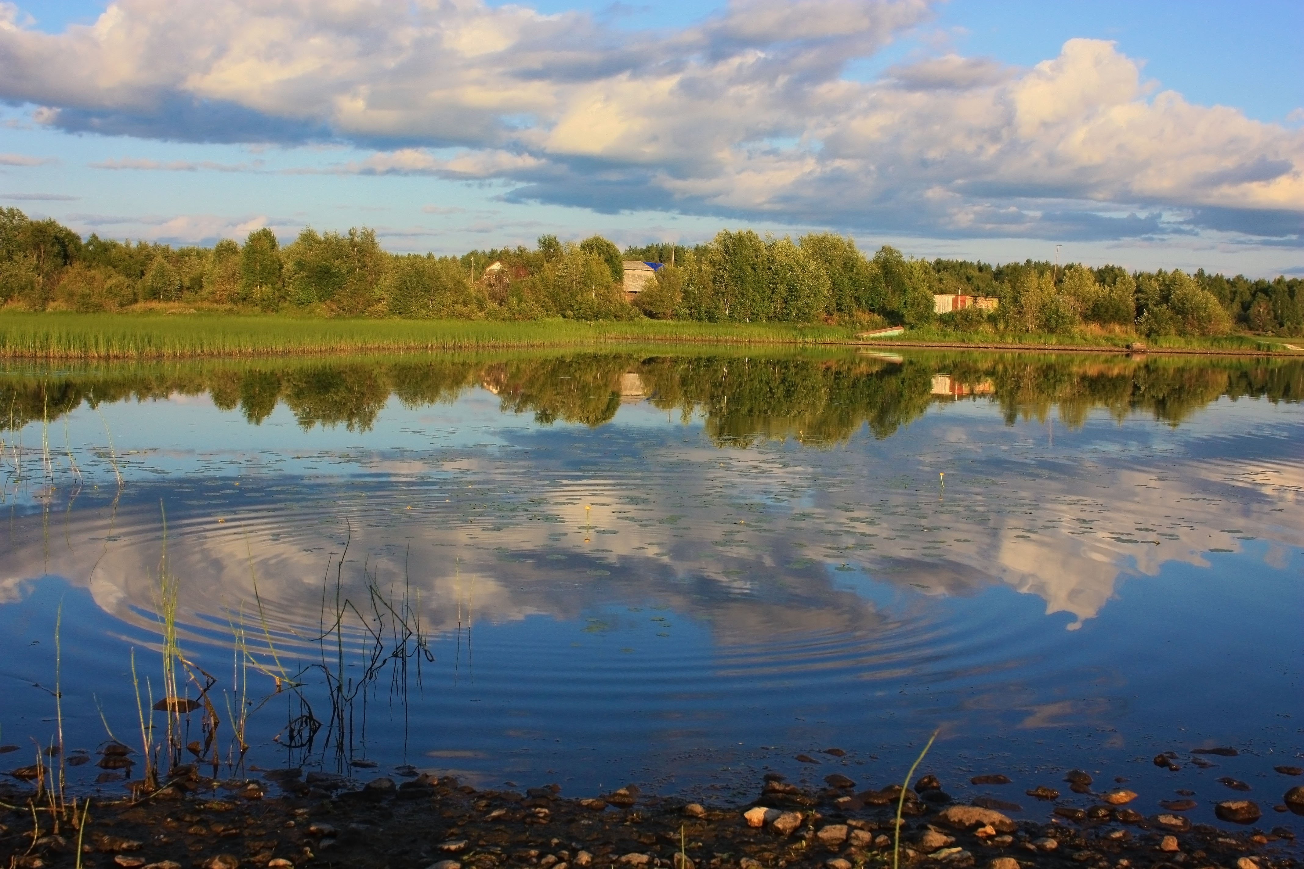 Озеро у деревни реальная. Озеро Тигода. Озеро Тигода Новгородская область. Река Тигода Ленинградская область. Тигода озеро в Ленобласти.