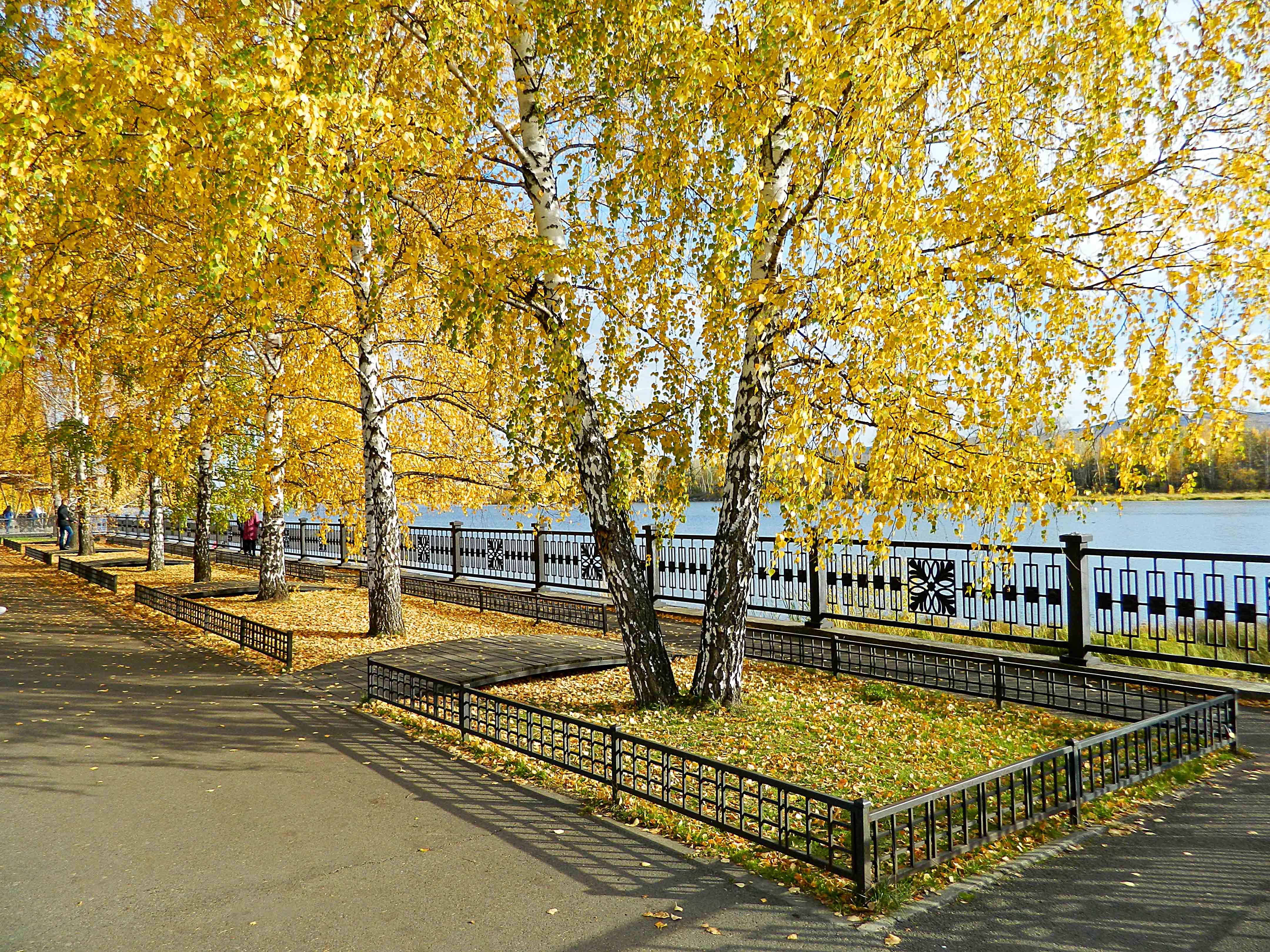 Тропаревский лесопарк поздняя осень. Ранняя осень в городе. Какой ждать октябрь. Стихотворение про октябрь. Какой ждать октябрь.