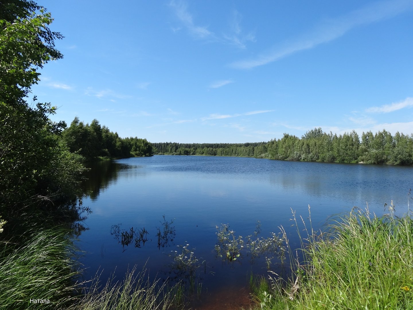 Люблю озера синие. Лесное озеро село Июльское. Синее озеро. Синь озеро. Природа лес озеро.