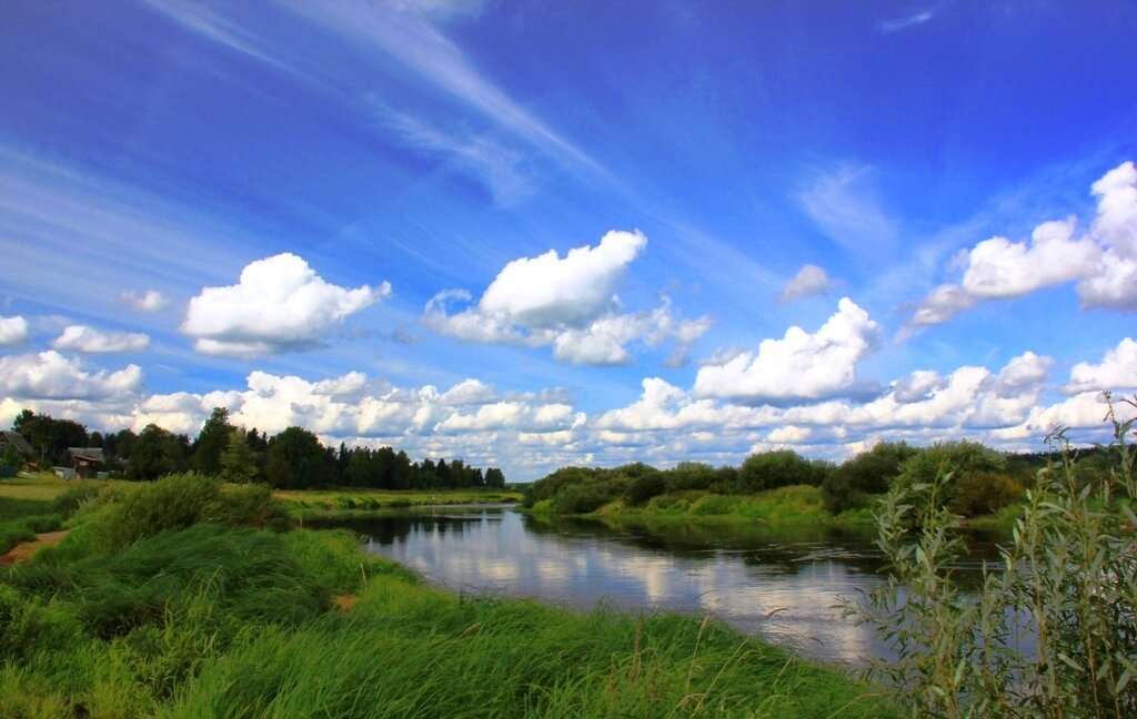 Луга река дом. Река Луга Толмачево. Река Луга Новгородская область. Луг река. Облака в реке.