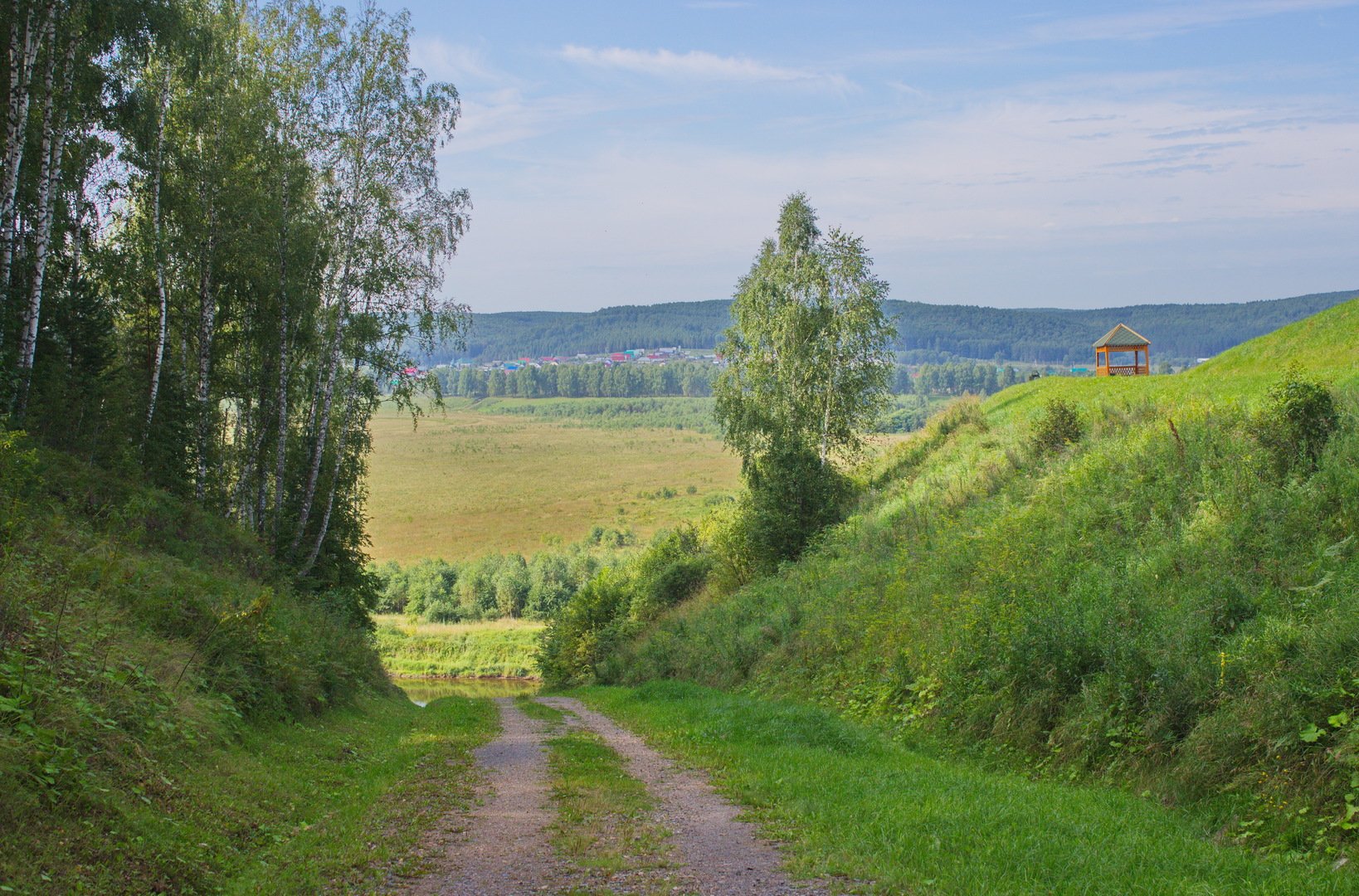 Палевицы дорога к речке