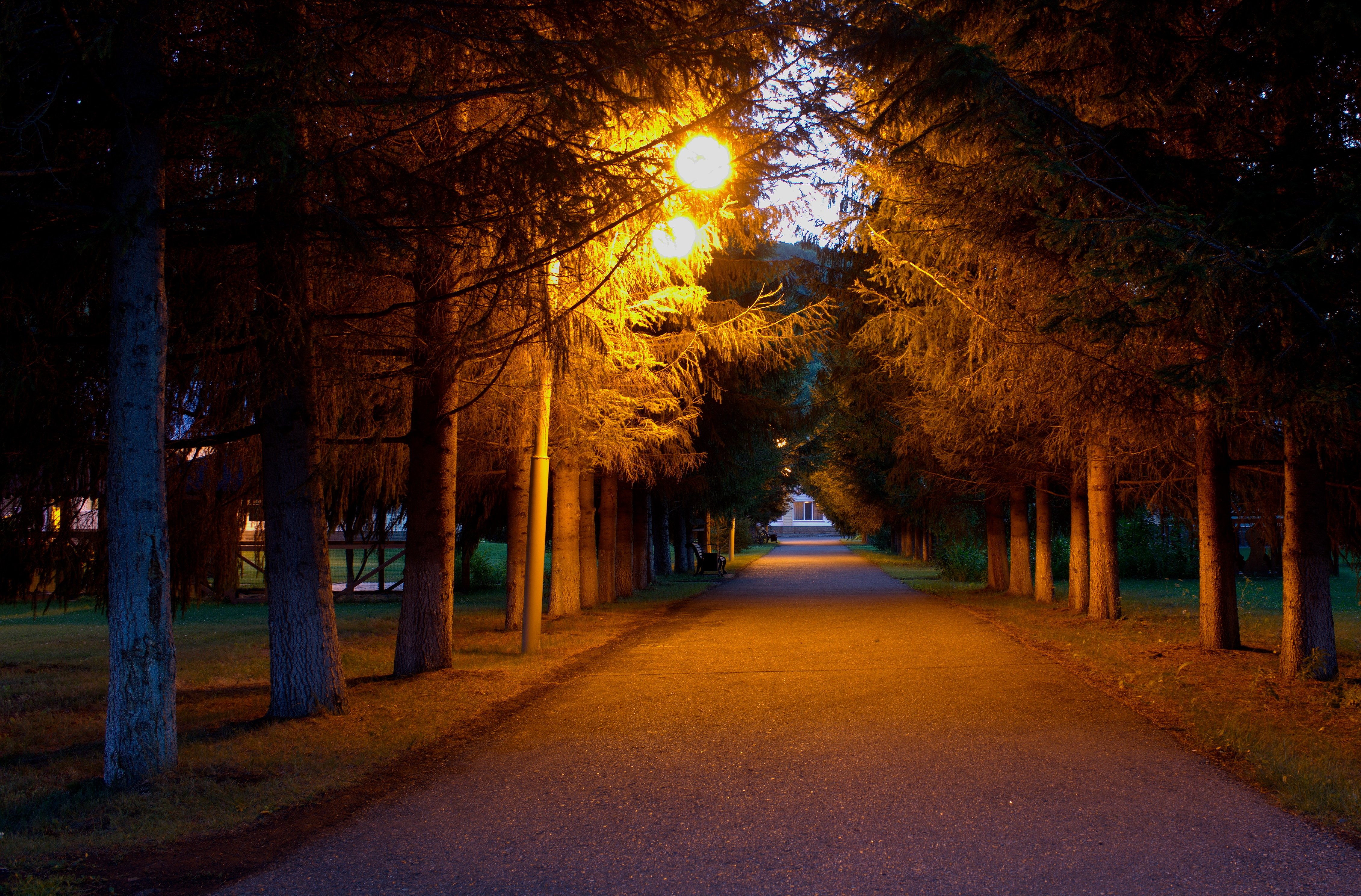 Вечером через парк. Ночной парк БЕЛОКАН. Академгородок ночью аллеи. Ночная аллея Феодосия. Ночные аллеи Саратова.