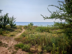 Дорожка к озеру