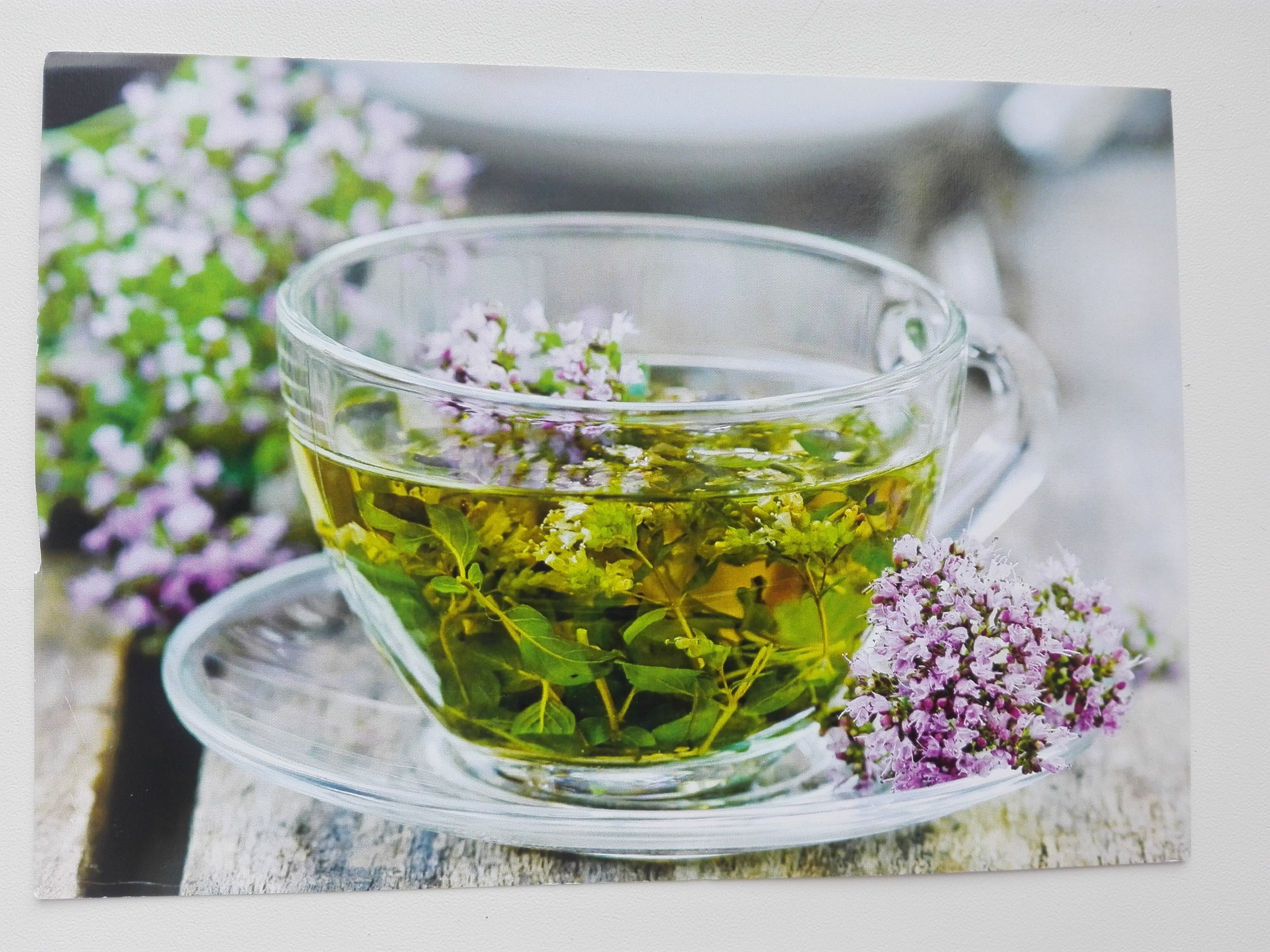 Какие травы можно пить вместо чая. Чай с чабрецом. Зверобой мята душица чабрец. Душица обыкновенная ЛРС. Травяной чай (фиалка, душица).