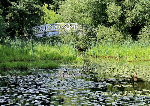 пруд и мостик в Остафьево