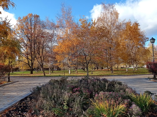 Осенняя клумба, осенний парк