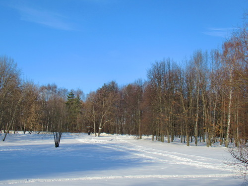 Весна свет, первый день