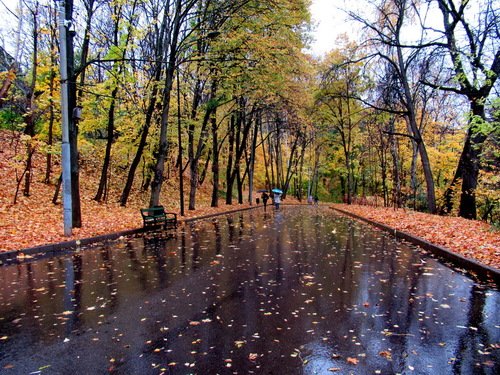 Осенний дождь на Воробьевых горах