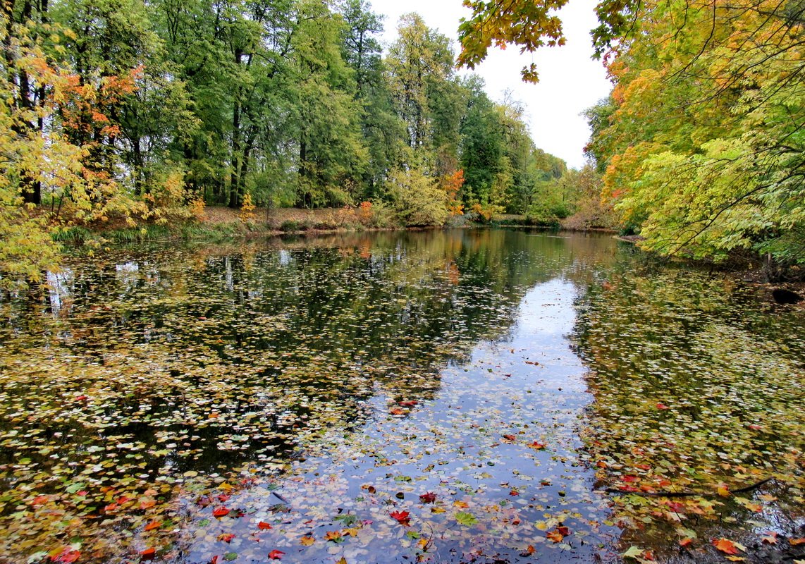 Пруд Осенью Фото