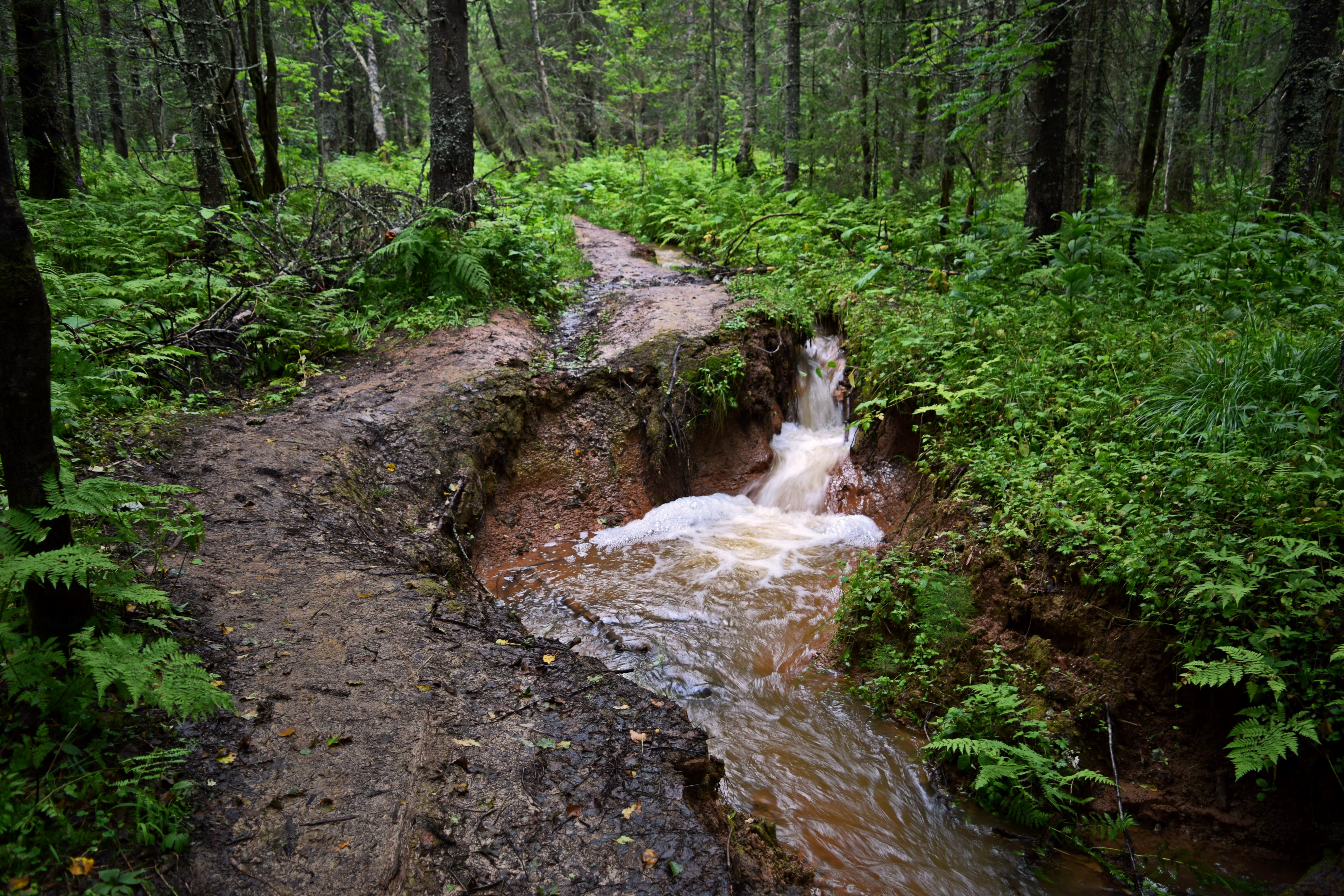 Ручей какой. Гамурзиевский ручеек. Родник, ручек, речка, река. Расширение картинки. Ручьи весной какие.