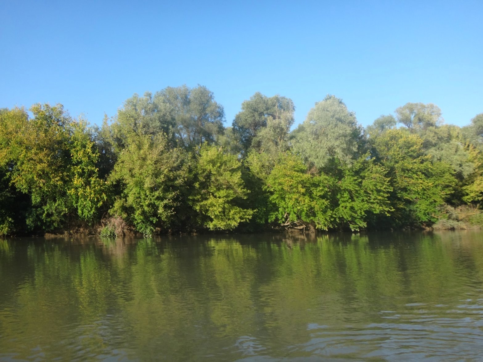Река Кубань фото Усть Лабинский район
