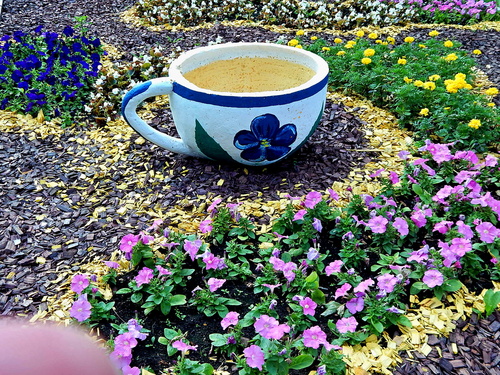 Цветочное чаепитие