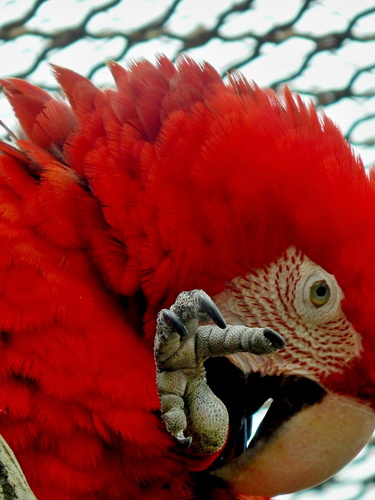 ДАЙ ЧЕТЫРЕ!!