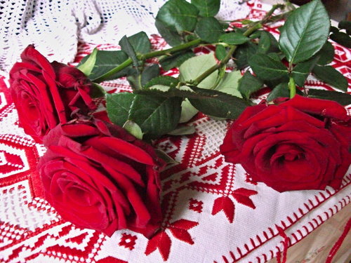 И три красных розы...