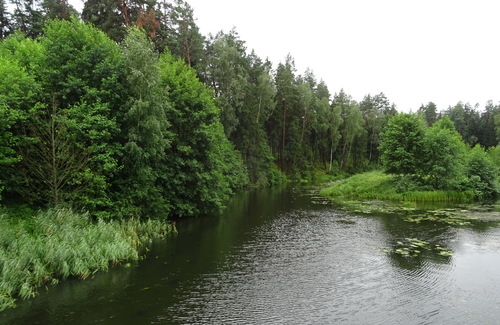 У реки