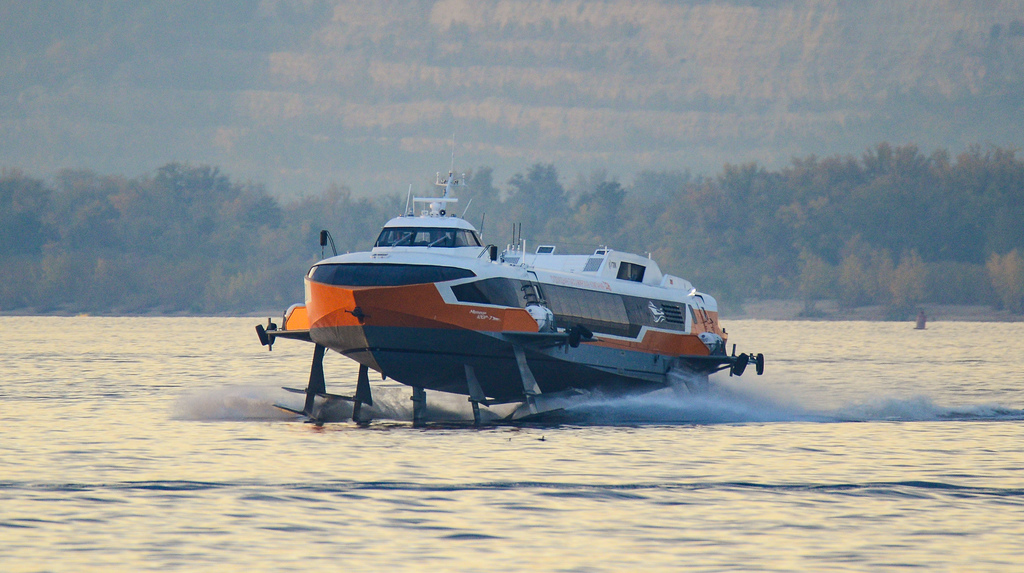 8cf80072fa.jpg