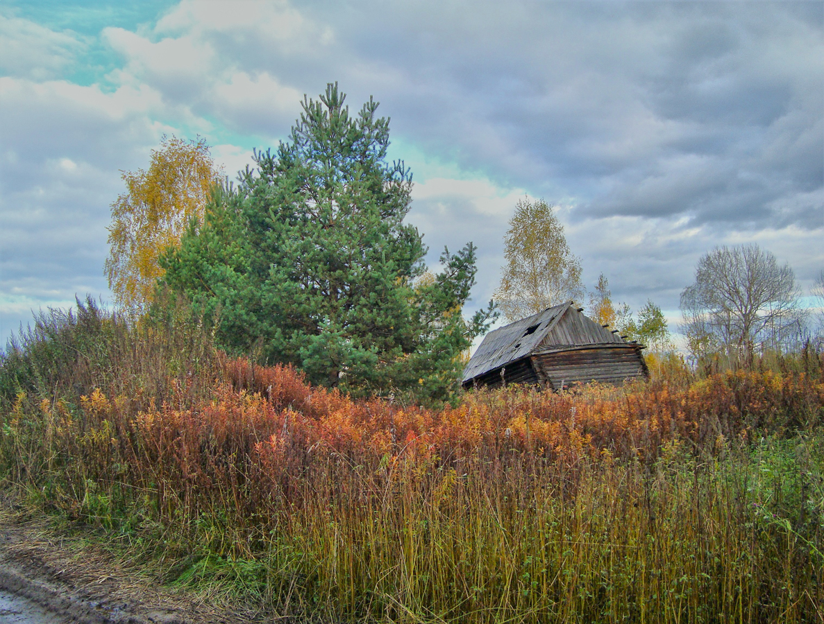 Бурьянов