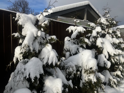 В теплых шубках