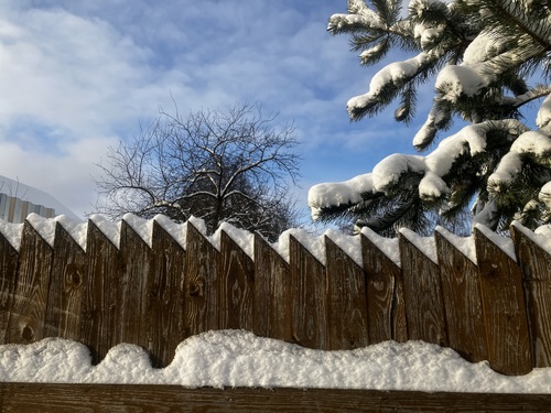 Снежная зима