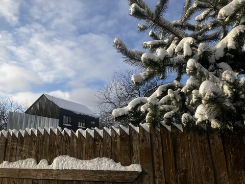 Зимние прогулки