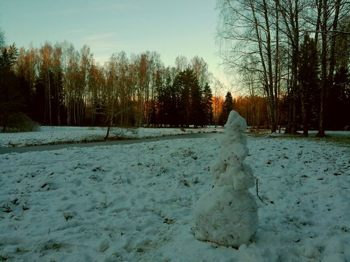 в Павловске