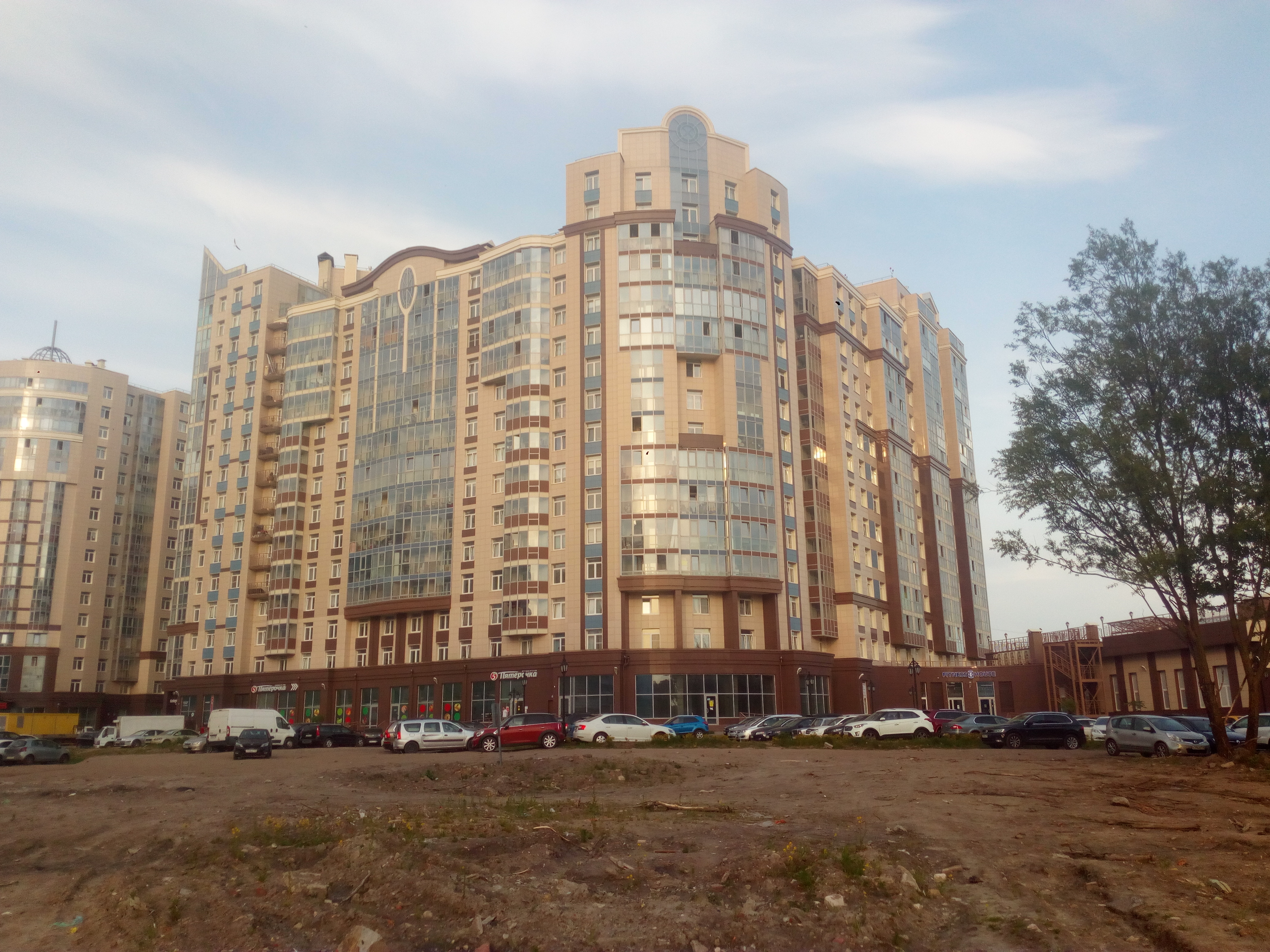 пр. Маршала Блюхера 9к3