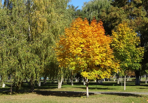 В парке