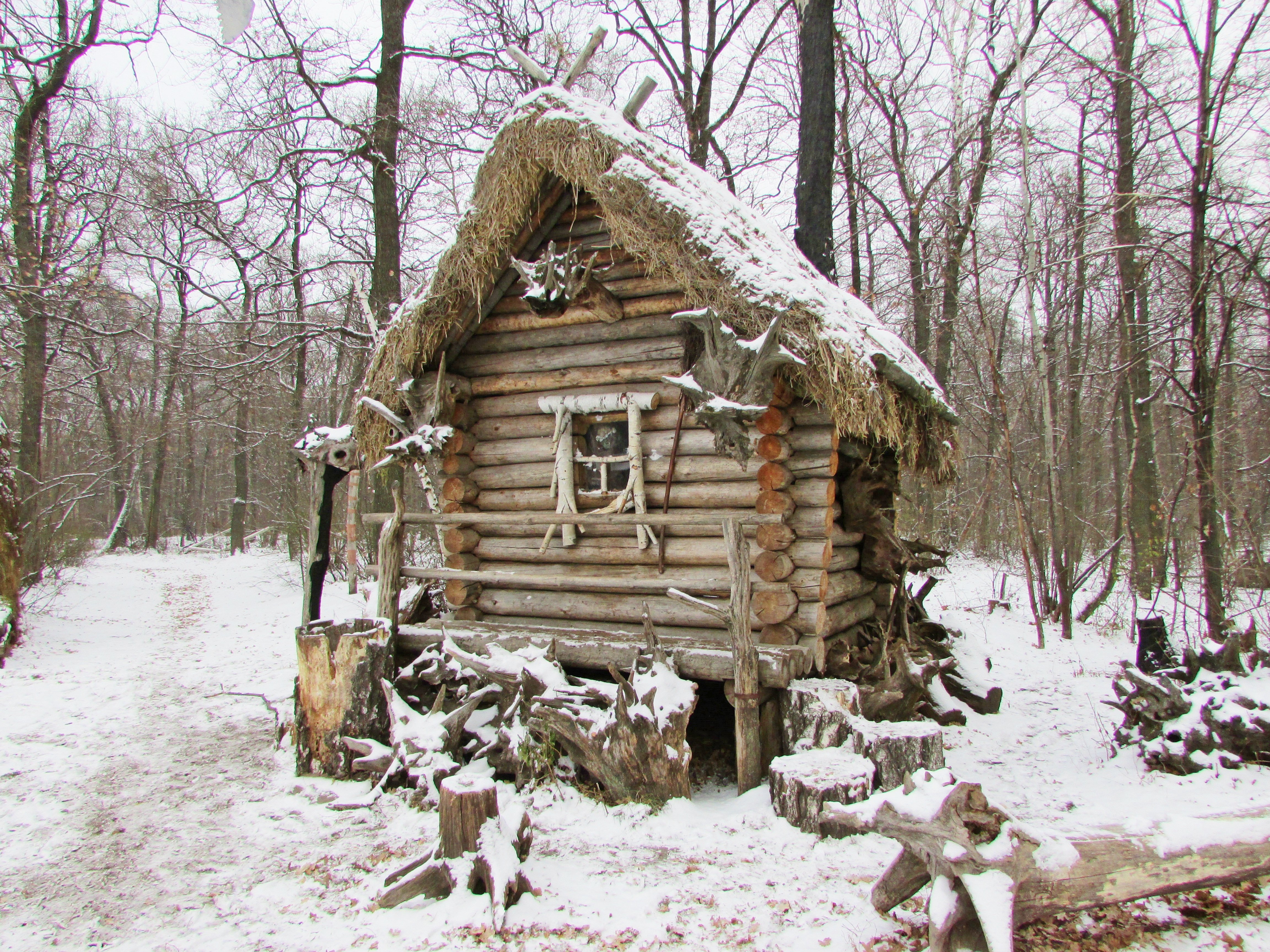 В лесу на курьих ножках. Олимпик Воронеж избушка бабы яги. Кукобой баба Яга. Дом баба Яга избушка на курьих ножках. Бабы яги дом избушка.