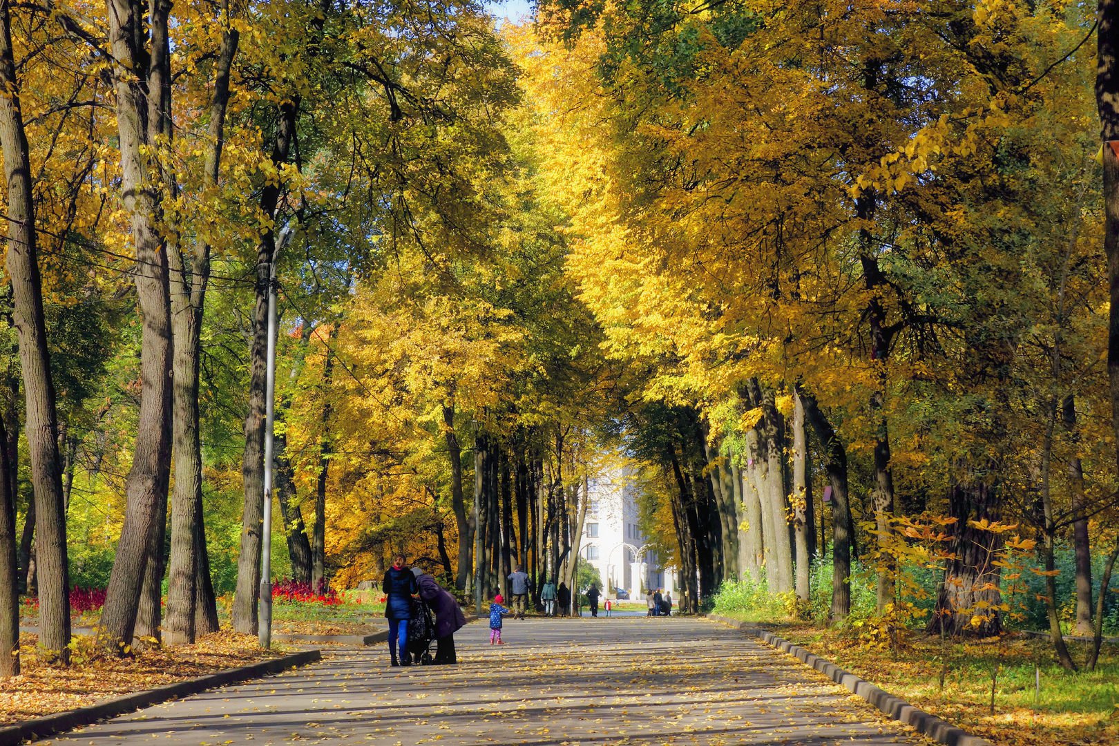 Однажды парком гулять