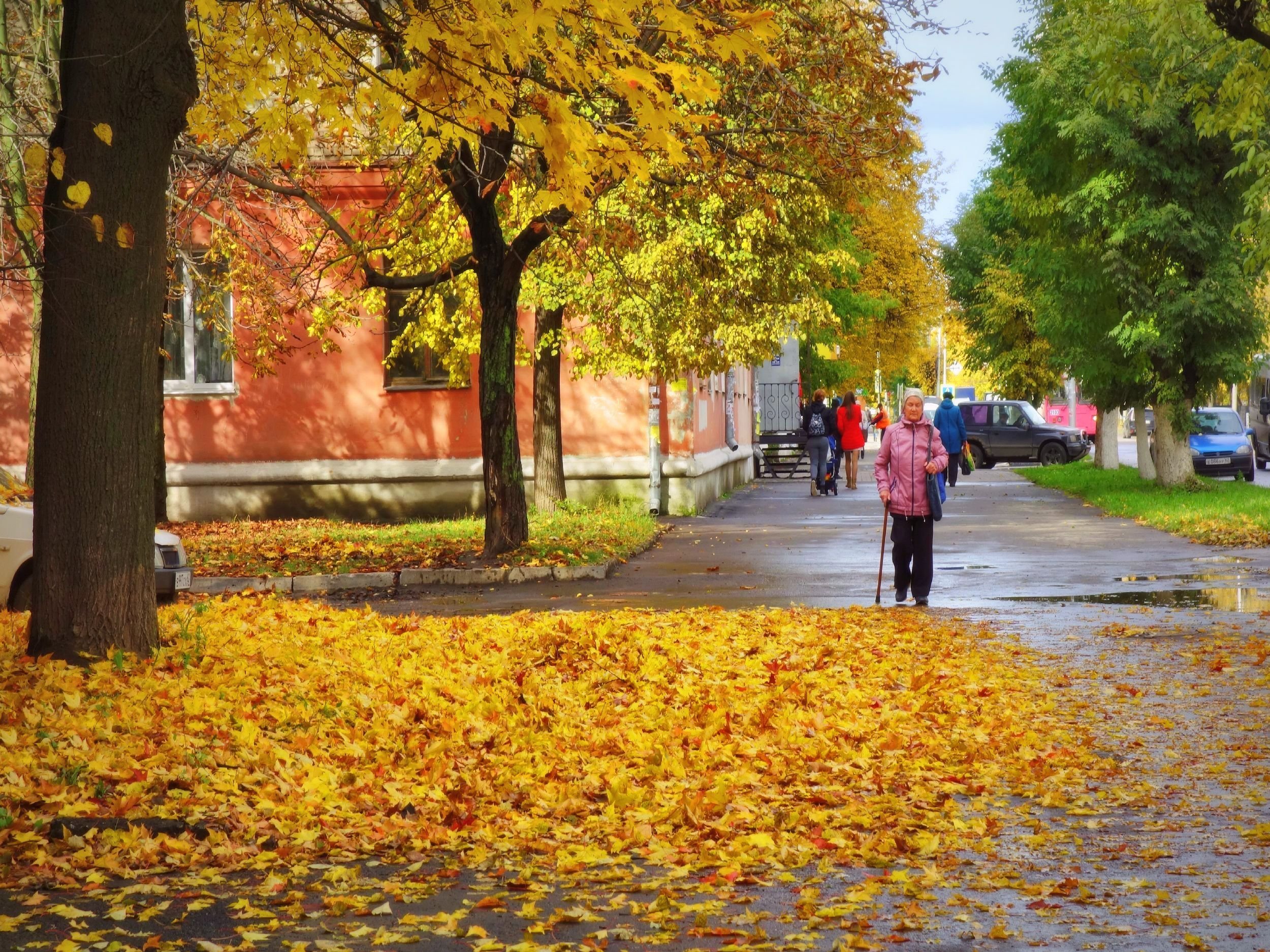 Ул осенняя. Осенний тротуар. Уфа осенью. Клен осень город. Осень на улицах Уфы.